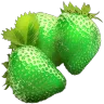 Verdberry harvesting