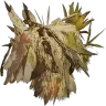 Wasteland Ghillie Chestpiece