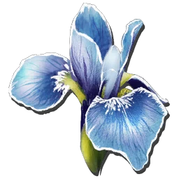 Rare Flower