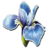 Rare Flower harvesting