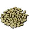 Citronal Seed harvesting