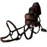 Raptor Saddle