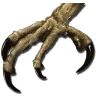 Argentavis Talon