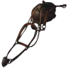 Pteranodon Saddle