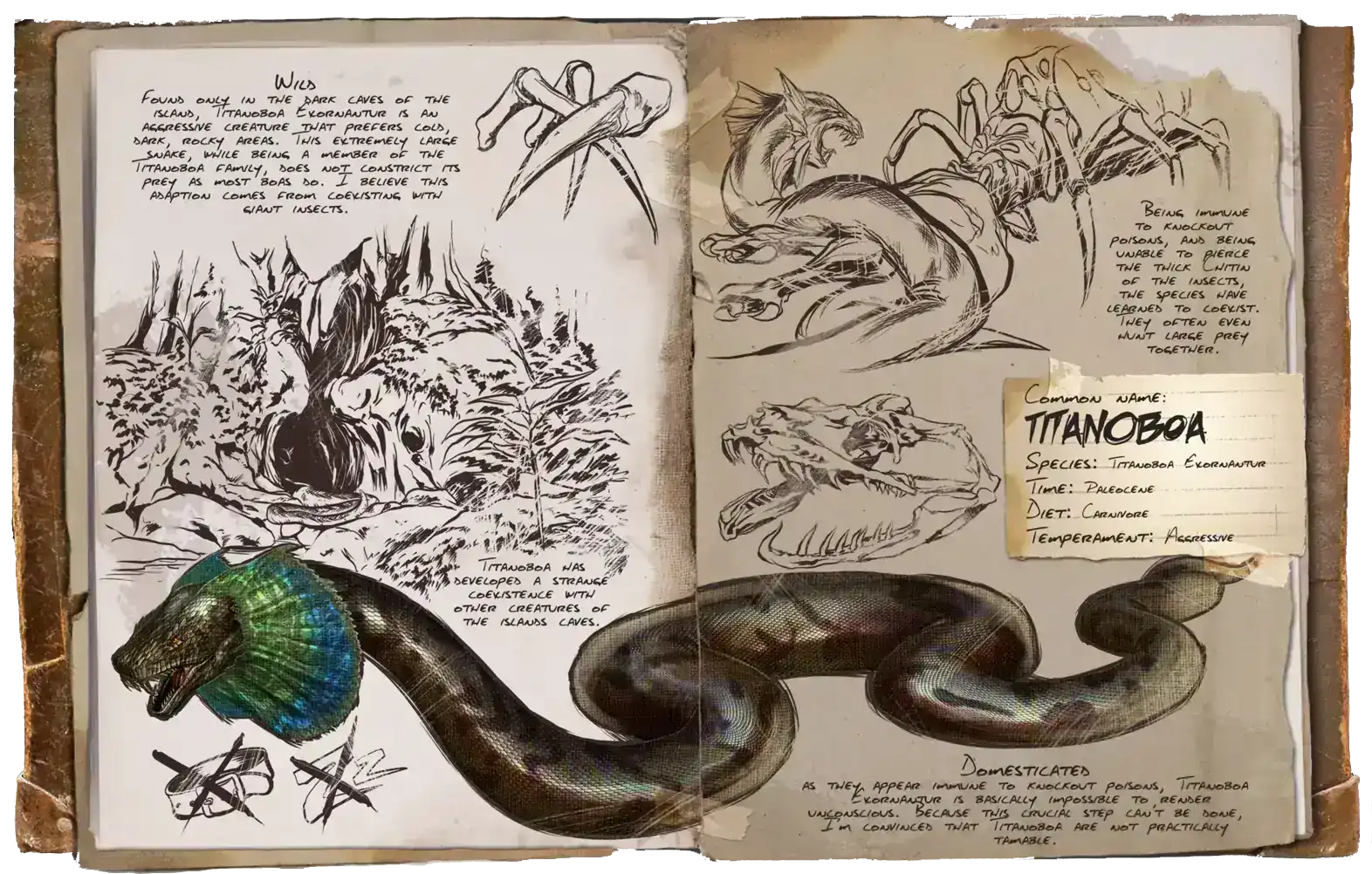 Titanoboa