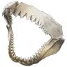 Megalodon Jaws Fishing Trophy