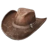 Outlaw Hat