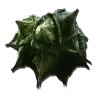 Carnivorous Plant Seed