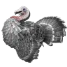 Turkey Hat