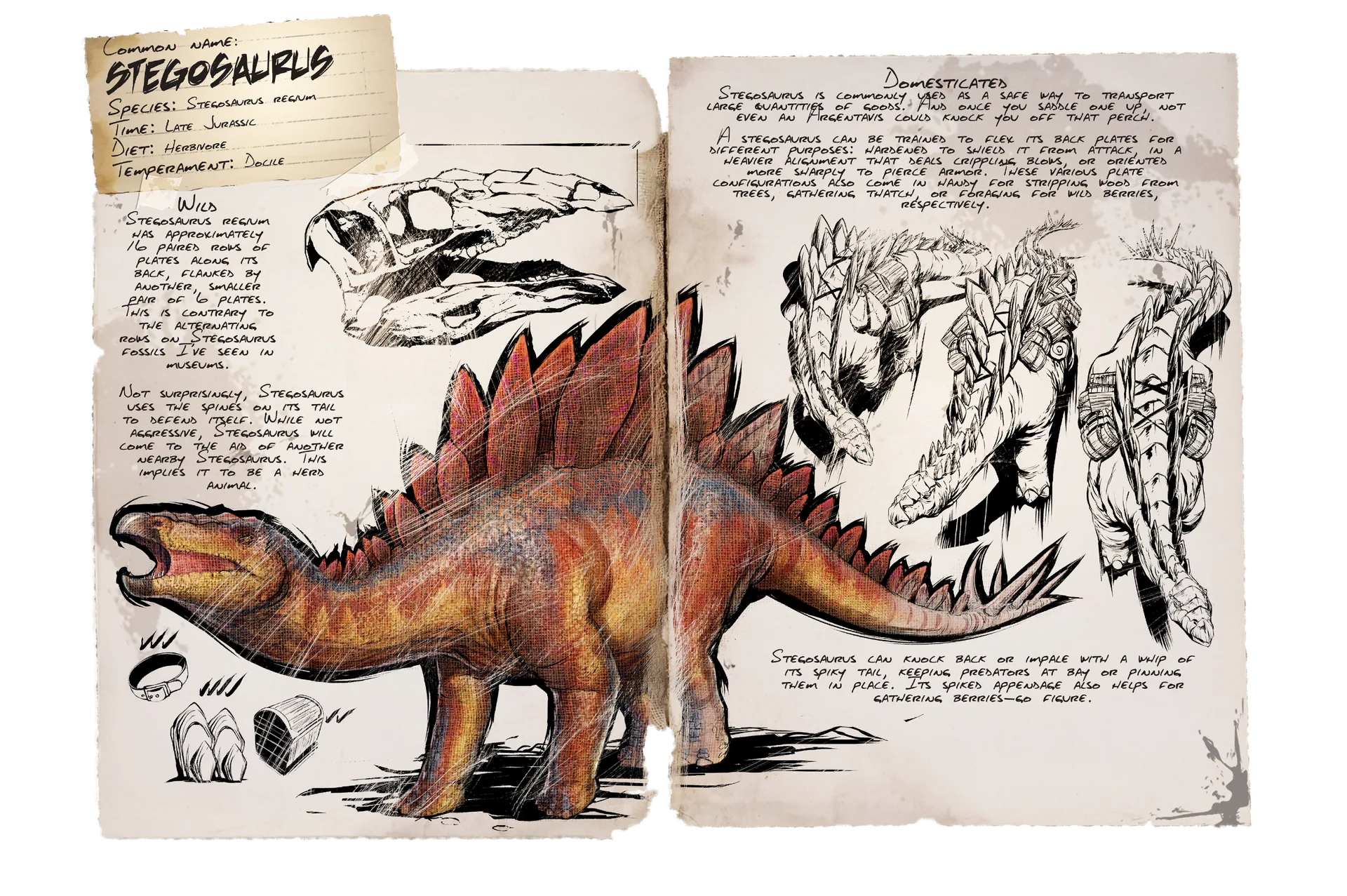 Stegosaurus