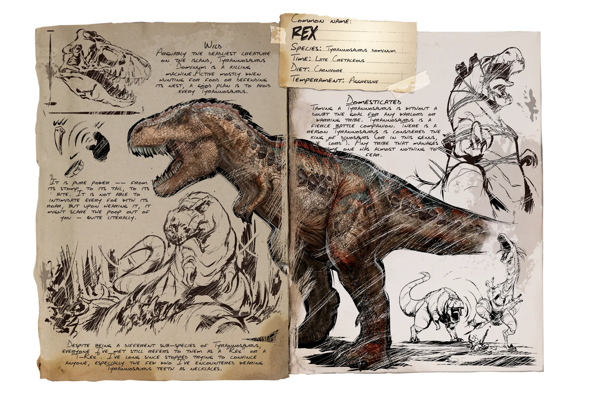 Rex