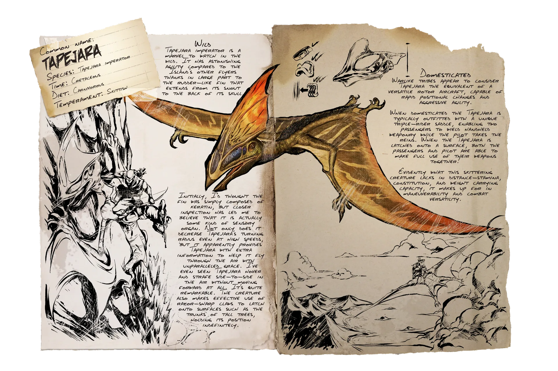 Tapejara