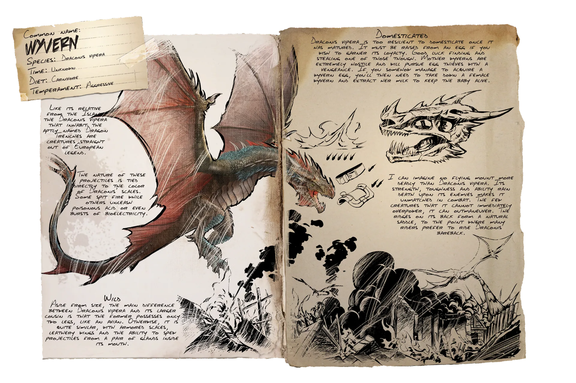 Wyvern