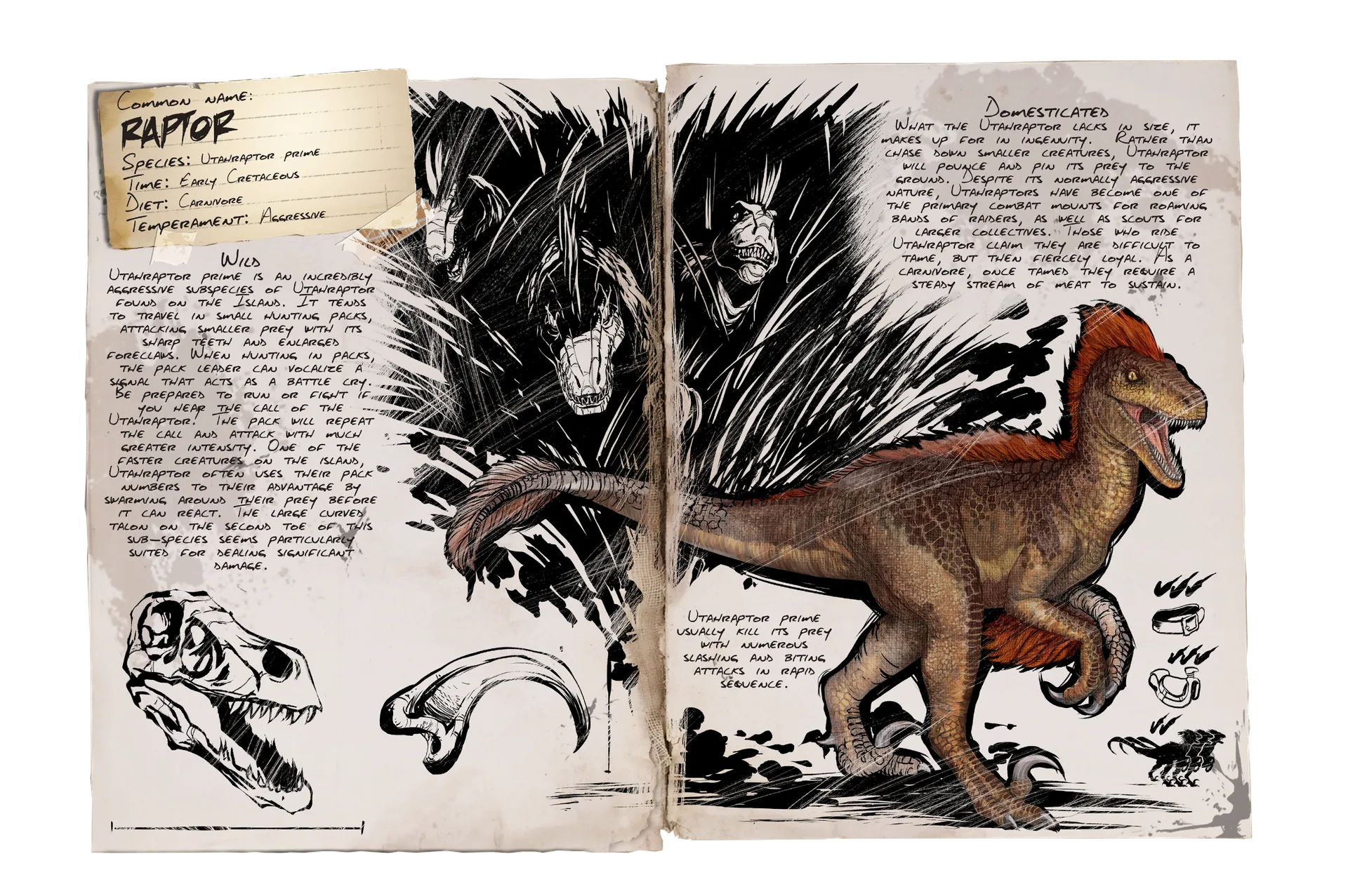 Raptor