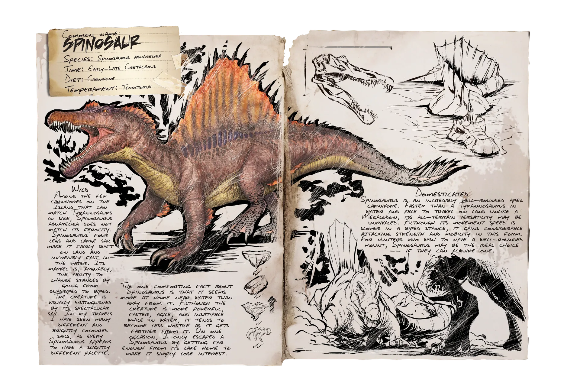 Spino