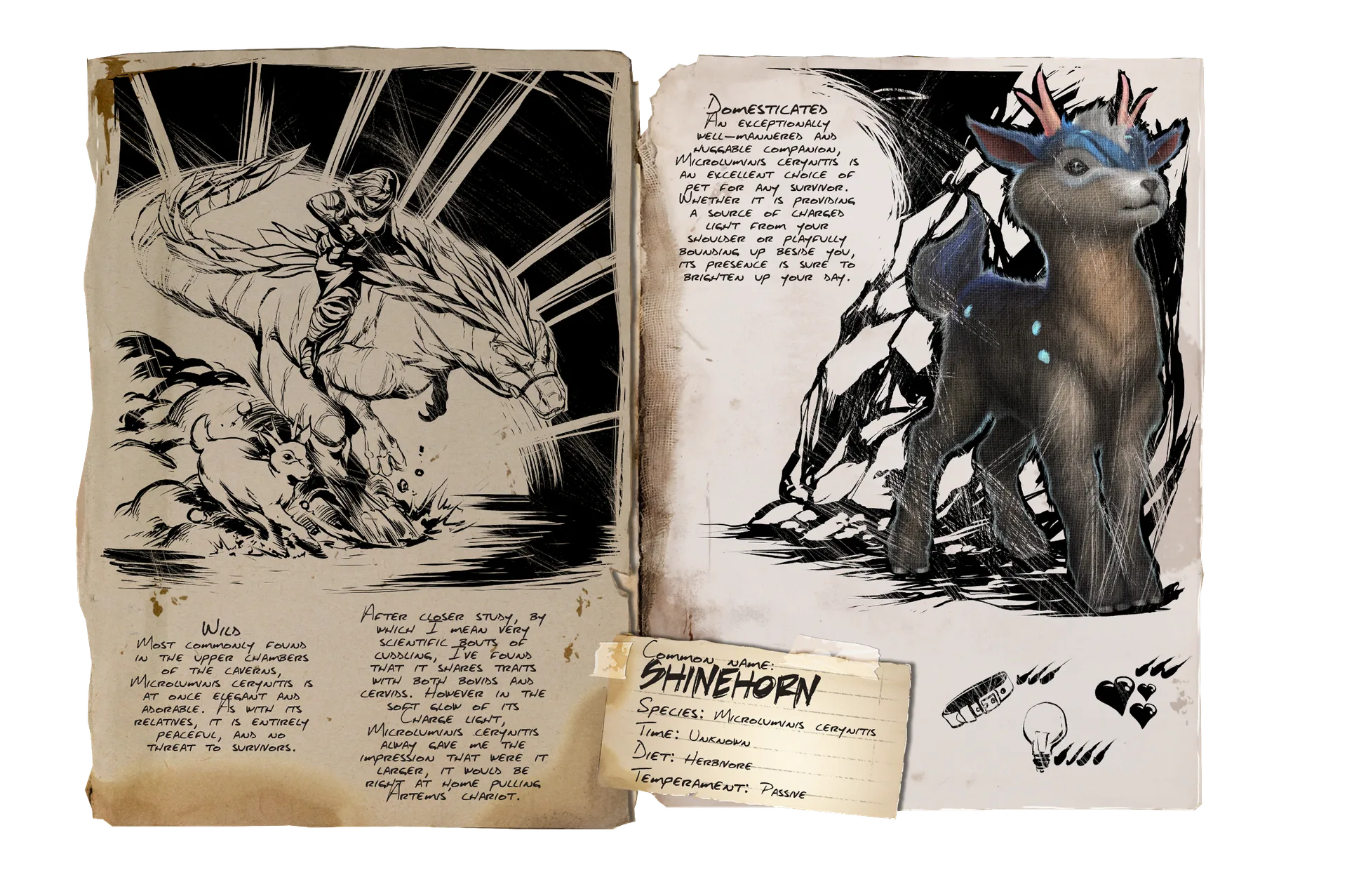 Shinehorn