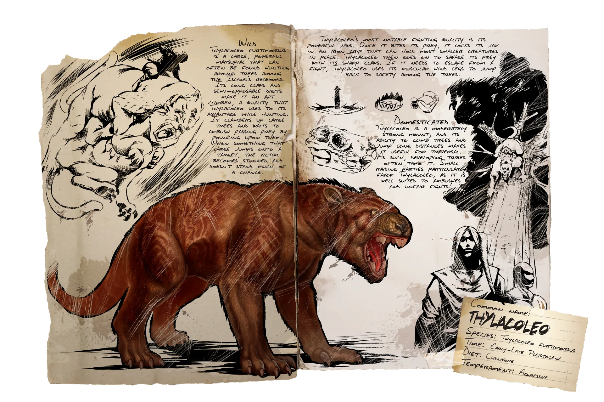 Thylacoleo