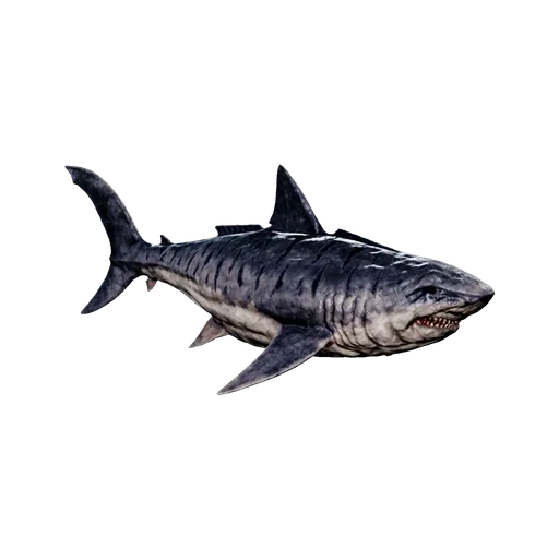 Alpha Megalodon