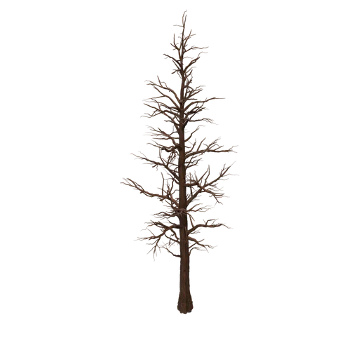 SM RedwoodSapling ST Dead