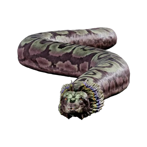 Titanoboa