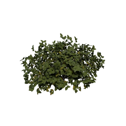 Large Bushe SM