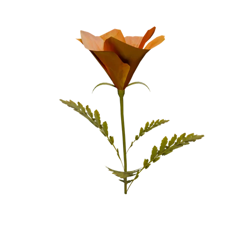 Flower 01