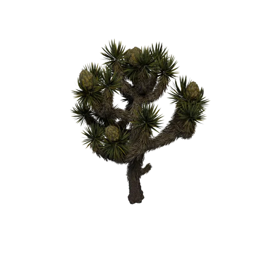JoshuaTree SM