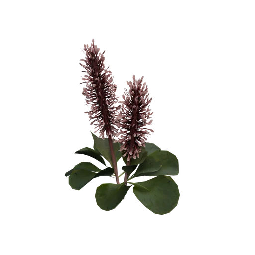 ArticWillow A