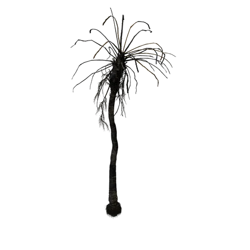 DeadPalm B