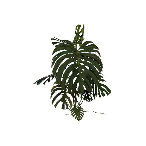 SnowPlant02 SM