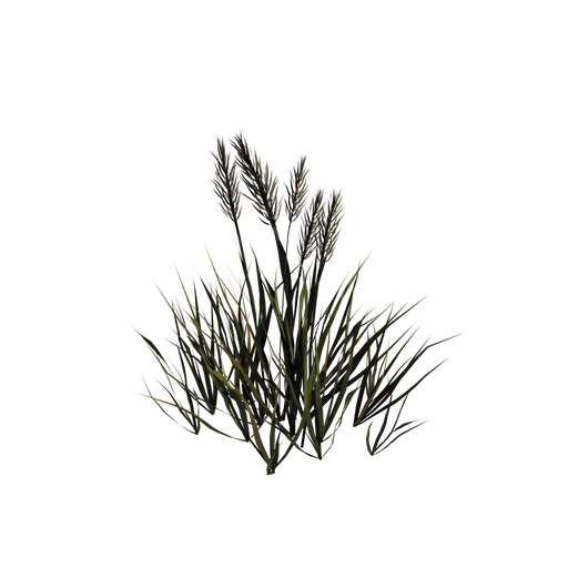Grass02 SM