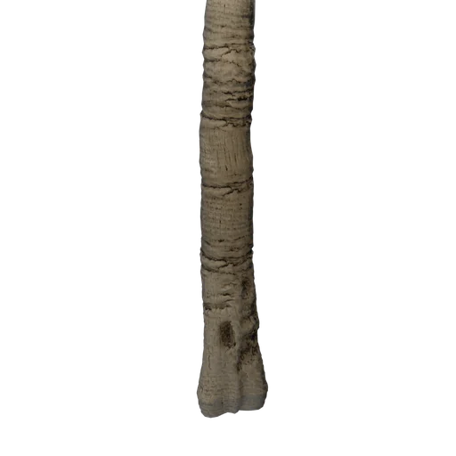 CuttedPalm01 SM