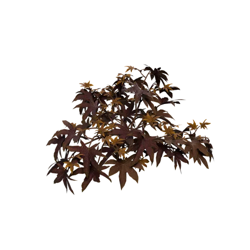 CastorOil C