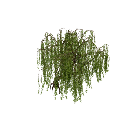 Weeping Willow Hero