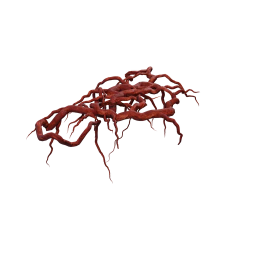 VeinRootsA