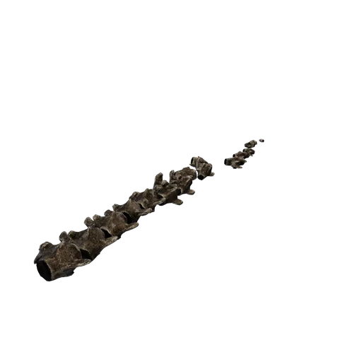 SM RexBonePile 8