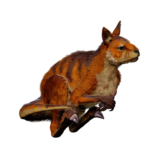 Procoptodon