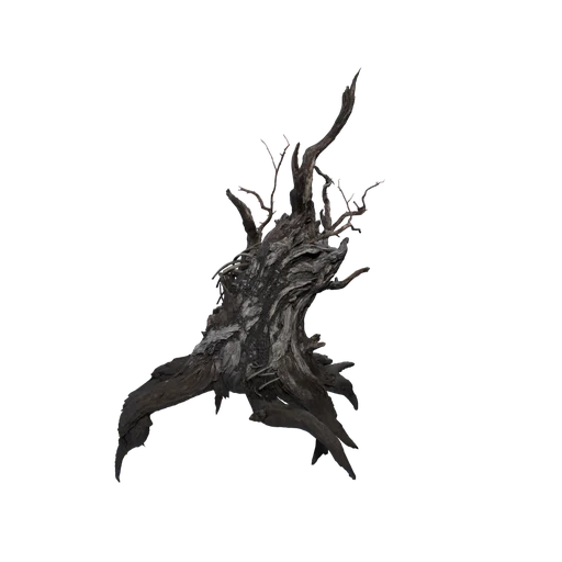 Bristlecone B