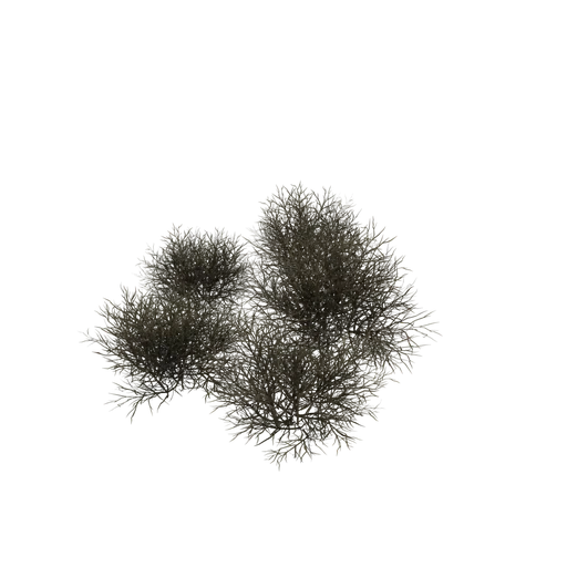 PineBush 2