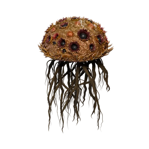 ScorpionRoot B