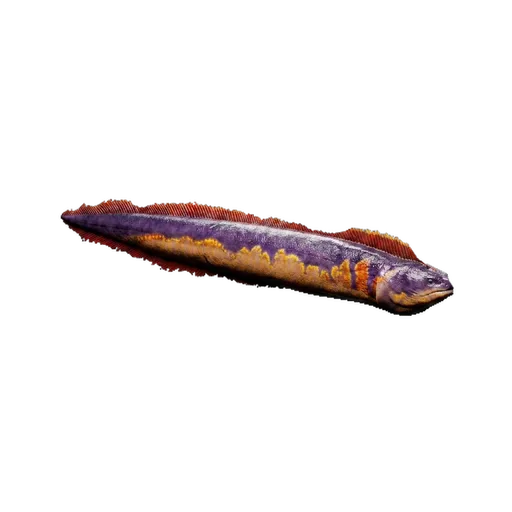 Electrophorus