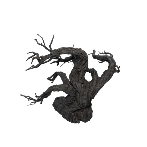 SM ObruerePontis C