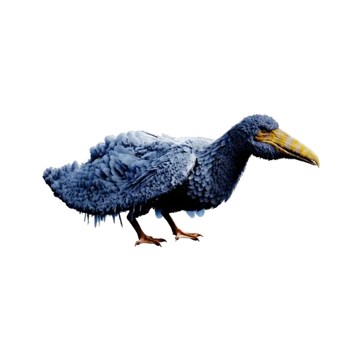 Pelagornis