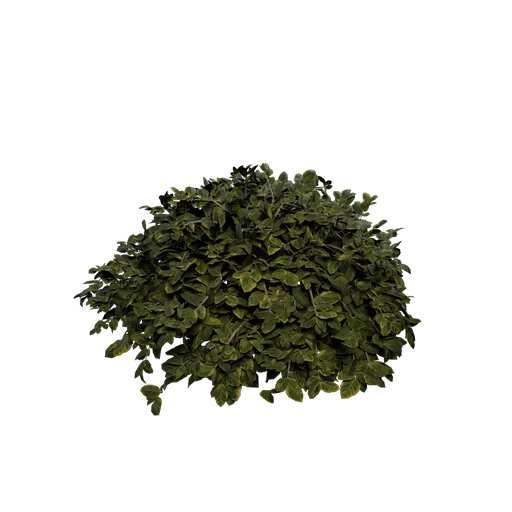 Sphere Bushe SM