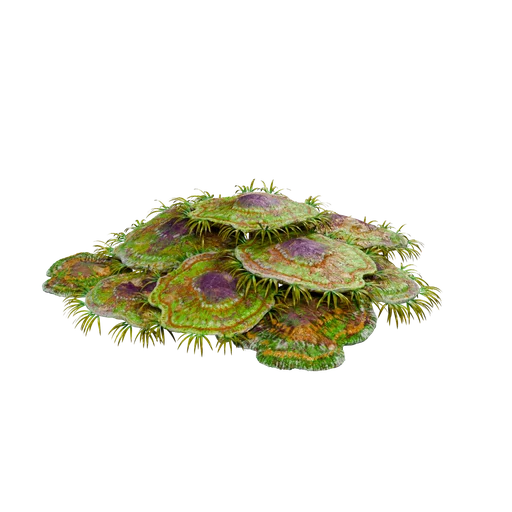 SM AquaticFormationA