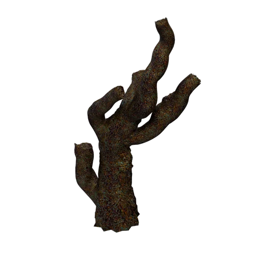 CoralStone-03