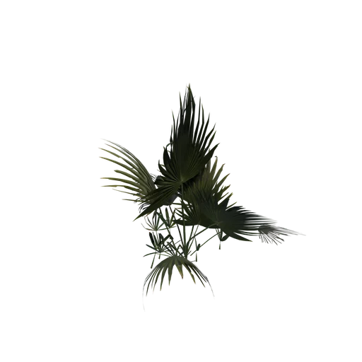 PalmPlant SM