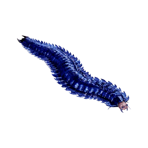 Arthropluera