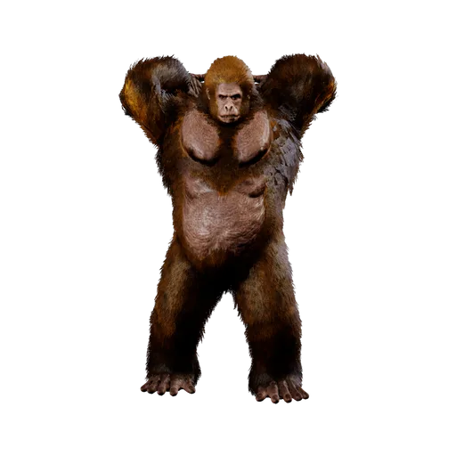 Yeti