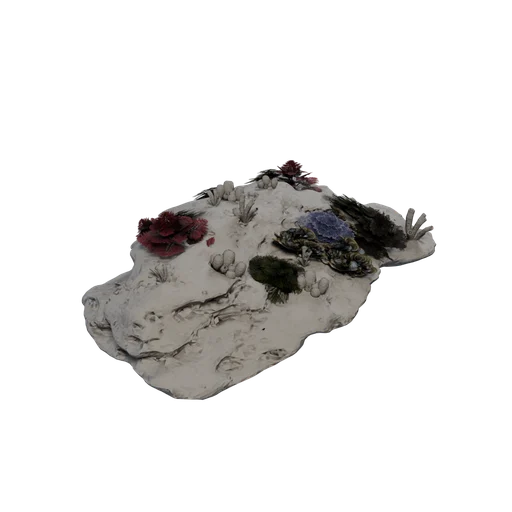 CoralReef 07
